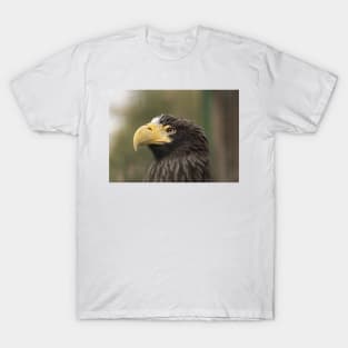 Stellers Sea Eagle T-Shirt